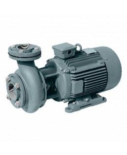 Monoblock Pumps & Engines